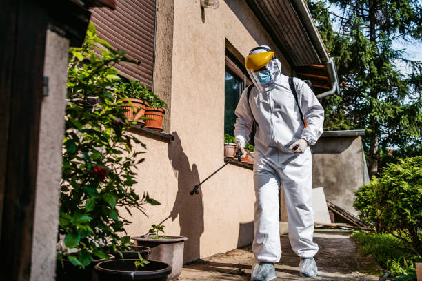 Best Pest Prevention Services  in Woodville, TX