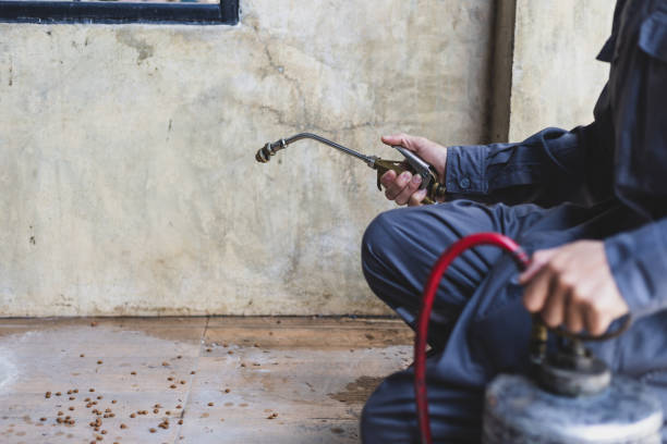 Flea Control Services in Woodville, TX